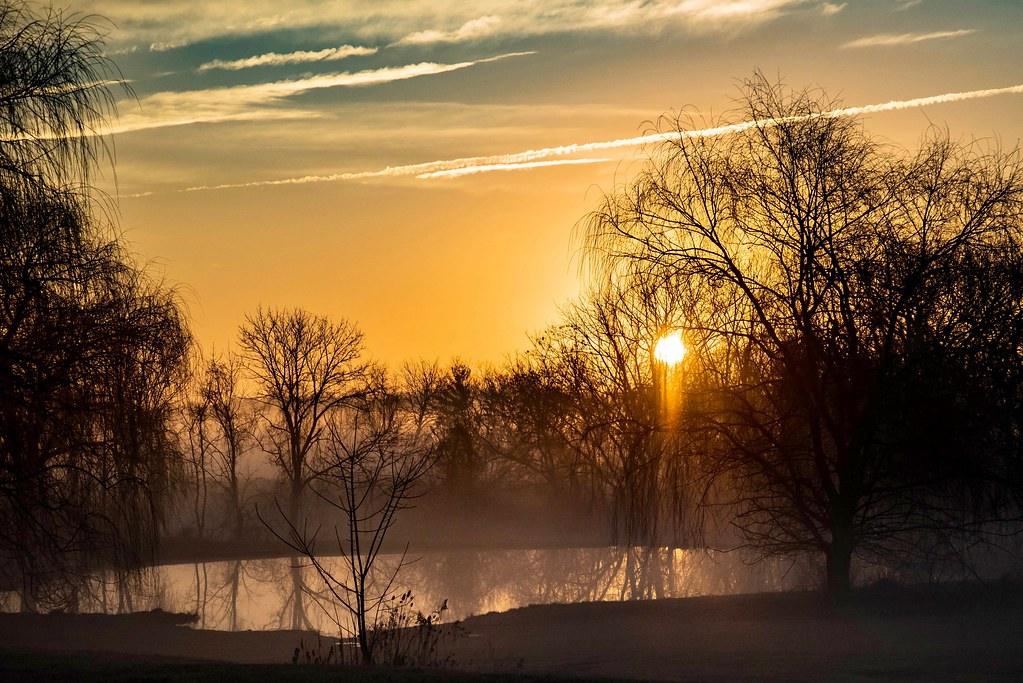 Sunrise over a pond through bare trees
