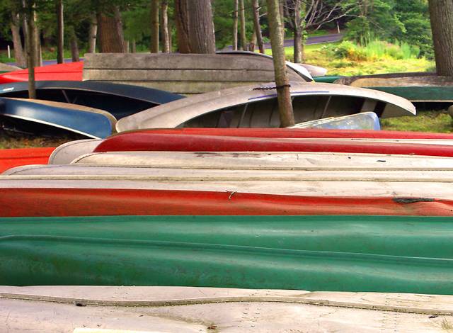 Stacked canoes by the trees