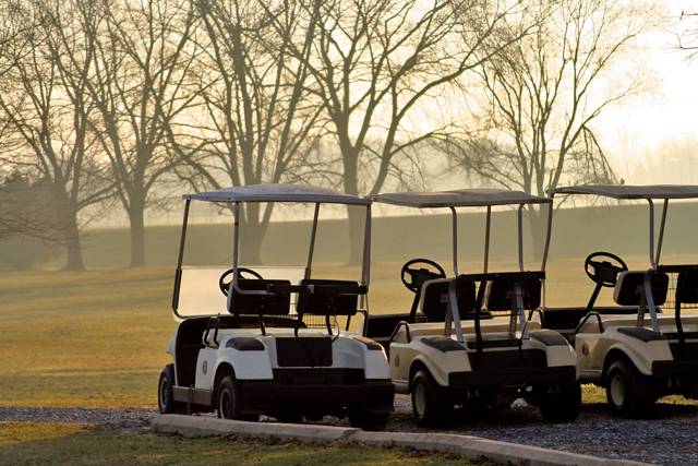 Golf carts lined up in morning fog