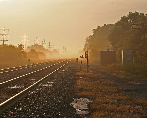 Rail tracks in golden fog