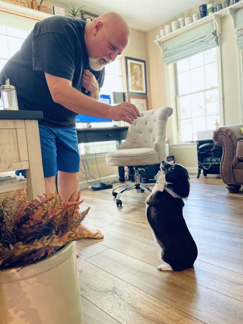 Corey and the dog at attention
