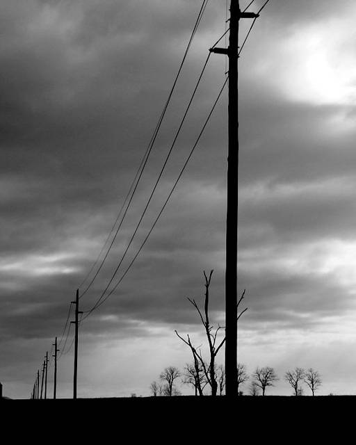 Power lines against a brooding sky