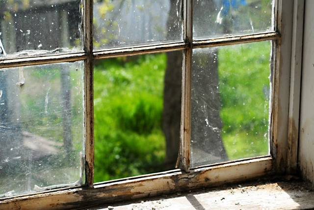 Old wavy glass window, green beyond
